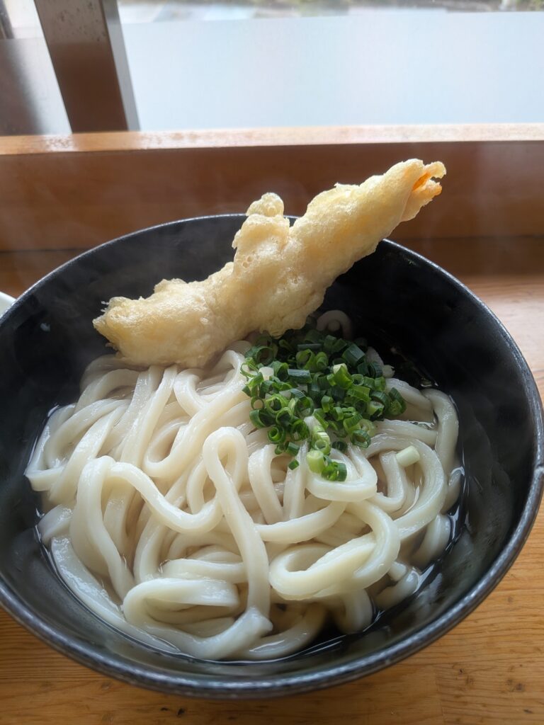 高松で食べた温かいうどん